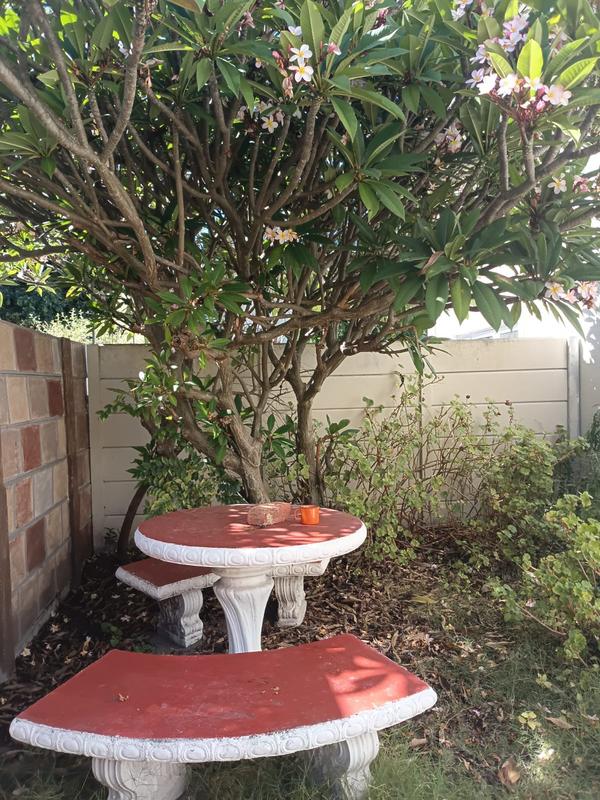 To Let 1 Bedroom Property for Rent in Plumstead Western Cape